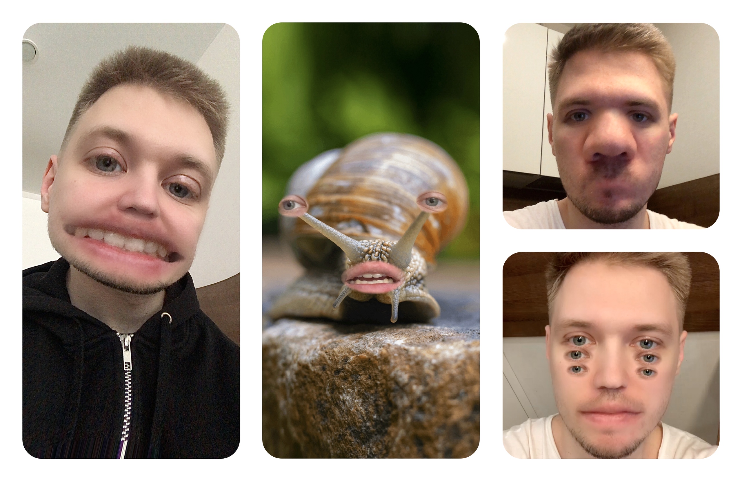 Примеры работы эффектов copyface и pasteface