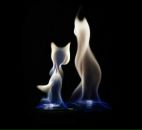 Фотография Николаенков Игорь