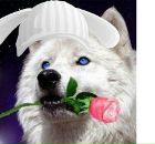 Наталія Діянко фотография #1