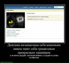 Александр Касапенко фотография #36 (источник - https://vk.com/id10534896)