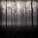Анастасія Корицька фотография #26 (источник - https://vk.com/id31729056)