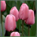 Фотография Пасынковой Евгении