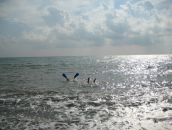 Фотография Косинова Василия