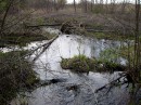 Дмитрий Шаров фотография #27 (источник - https://vk.com/id3186760)