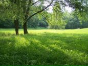 Віталій Карпенко фотография #16 (источник - https://vk.com/id86719783)