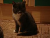 Фотография Рязанцевой Евгении