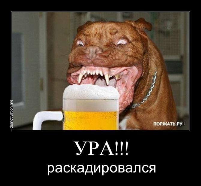 Wart Deider фотография #35