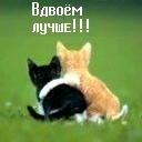 Іринка Шолота фотография #38 (источник - https://vk.com/id136180195)