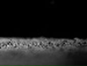 Іванка Мороз фотография #37 (источник - https://vk.com/id106515074)