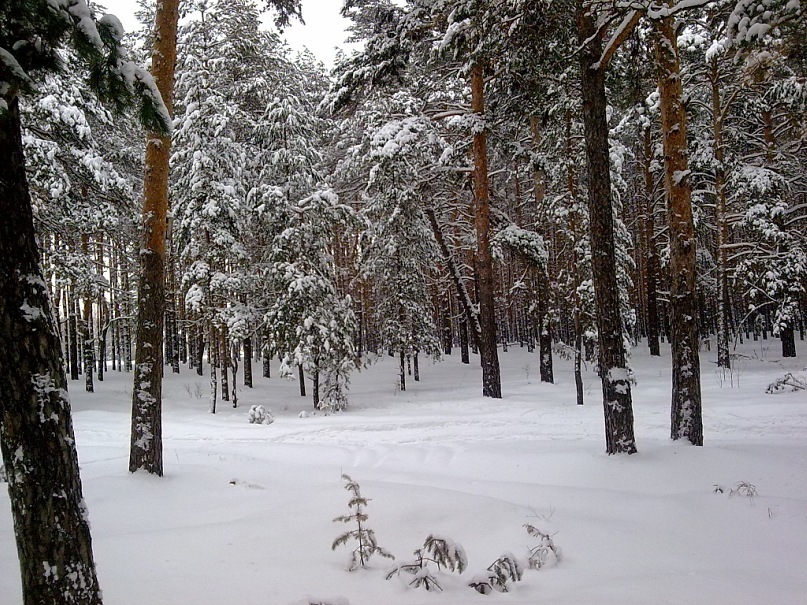 Макс Щеголев фотография #3