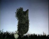 Фотография Чадромцевой Анны