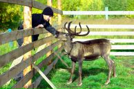 Фотография Назарова Александра