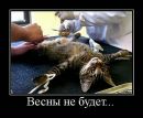 Юрка Кузьмінський фотография #47 (источник - https://vk.com/id56868261)