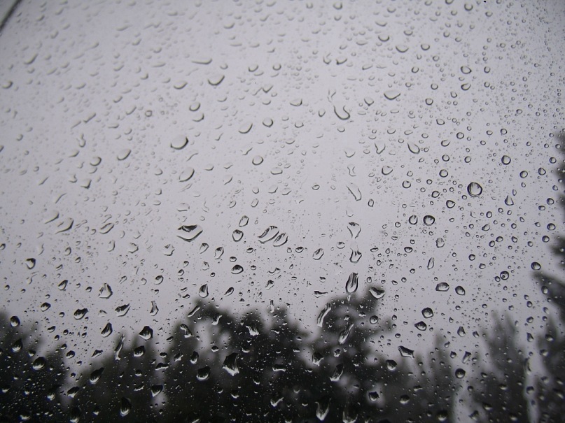 Дмитрий Ковалёв фотография #23