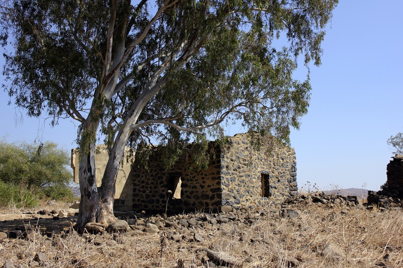 Игорь Храмцов фотография #38