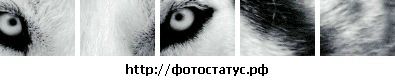 Ігор Романишин фотография #10 (источник - https://vk.com/id23956911)