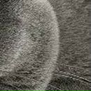 Оля Бондарчук--Варшавець фотография #39 (источник - https://vk.com/id52409522)