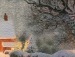 Віктор Ношкалюк фотография #22 (источник - https://vk.com/id124480732)