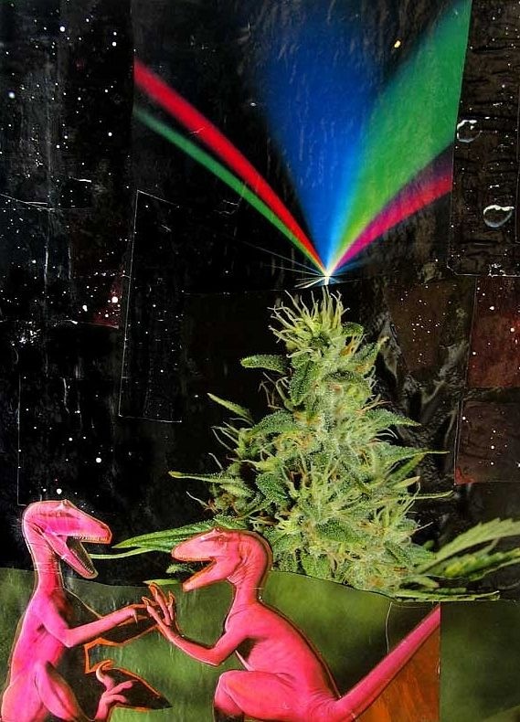 Лилия Вундер фотография #28