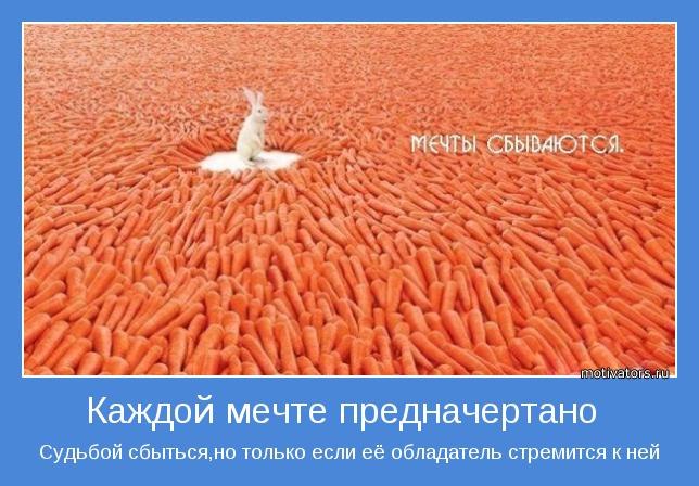 Sev Danil фотография #42