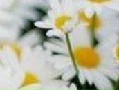 Наталія Новікова фотография #13 (источник - https://vk.com/id11100706)