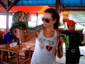 Фотография Raf Nina