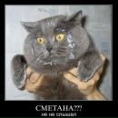 Женя Горобец фотография #31 (источник - https://vk.com/id3794978)