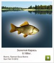 Андрій Стеців фотография #48 (источник - https://vk.com/id164789428)