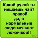 Ростік Пус фотография #19 (источник - https://vk.com/id164059009)