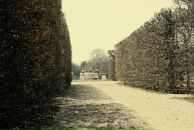 Женя Лаврішко фотография #28 (источник - https://vk.com/id9389456)