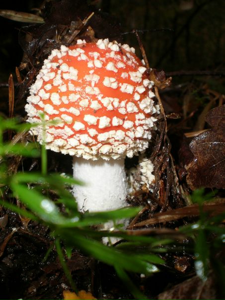 №20, Женя Шкарова, Нижний Новгород №20, Женя Шкарова, Нижний Новгород