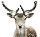 Фотография Маторкина Романа