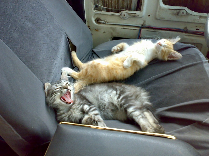 Дима Федин фотография #41