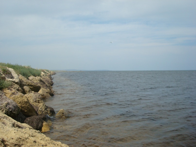 Сергей Сотников фотография #16