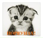 Фотография Костина Марина