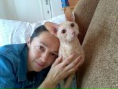 Фотография Шумейко Ирины