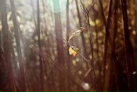 Фотография Писарева Димки