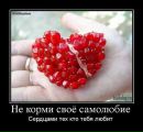 Фотография Васильевича Дмитрия