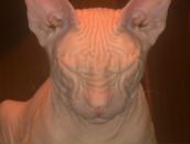 Фотография Кустовой Лидии