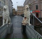 Фотография Акимов Сергей