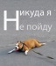  фотография #43