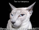 Фотография Карапетян Евгении