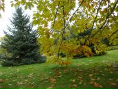 Юля Філь фотография #12 (источник - https://vk.com/id1614437)