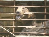 Андрій Дронь фотография #1