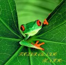 Віталій Євсович фотография #39 (источник - https://vk.com/id62717628)