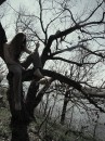 Фотография Нечаева Виталия
