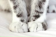 Фотография Potapkina Katena