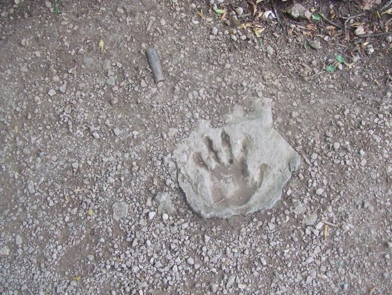 Иван Рудаков фотография #38