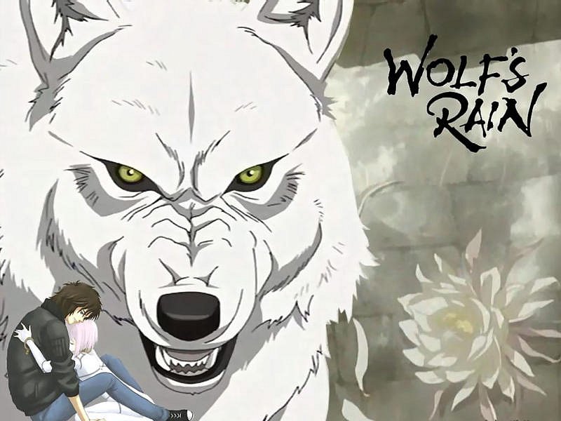 Станислав Киллер фотография #48