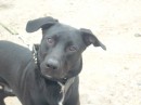 Фотография Серебрякова Павла
